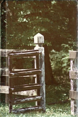 [DSC_0339 copy 2[5].jpg]